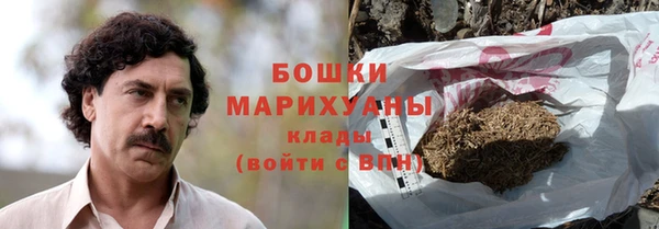 твердый Сосновый Бор