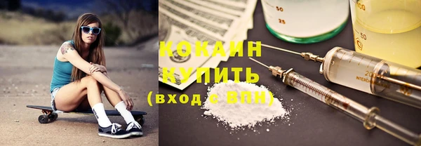 твердый Сосновый Бор