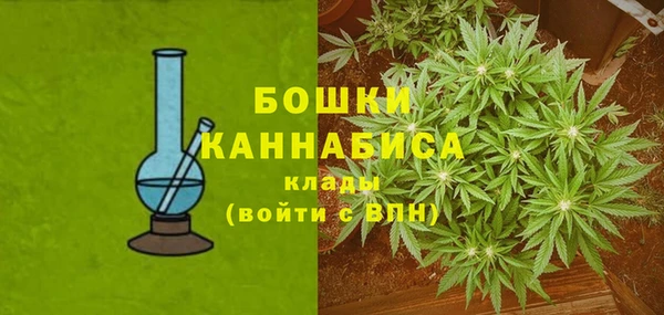 стафф Сосновка