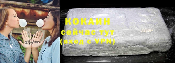 твердый Сосновый Бор